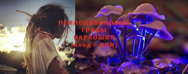 стафф Иннополис