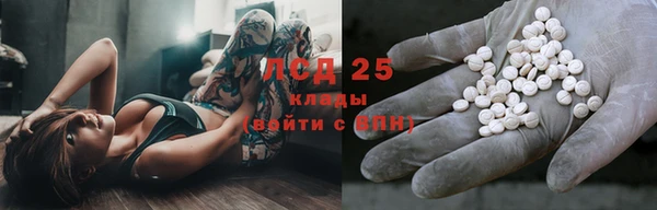 эйфоретик Инта