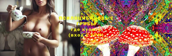 прущие крисы Каменногорск