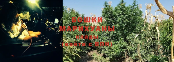 дживик Инсар