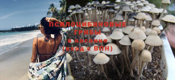 эйфоретик Инта