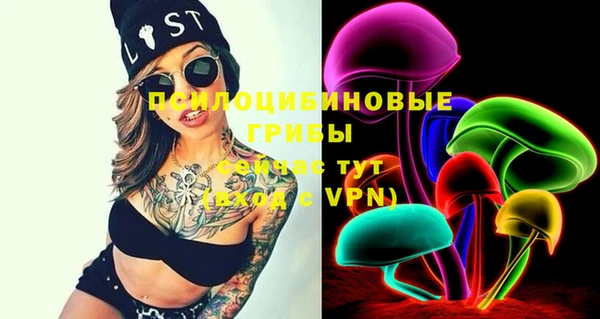 эйфоретик Инта