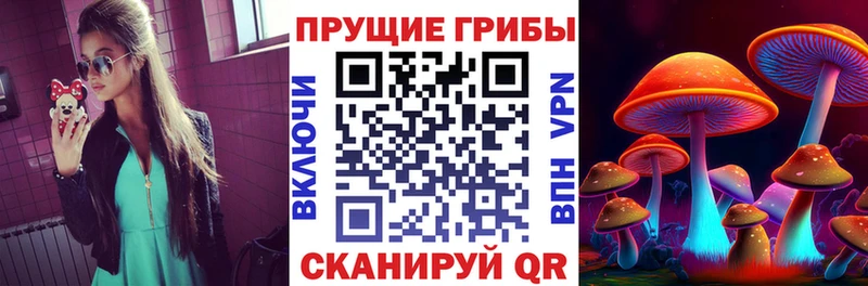 Купить закладки  Новое Девяткино  Псилоцибиновые грибы мицелий 